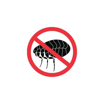Cosa sono le Pulci?