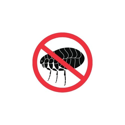 Cosa sono le Pulci?