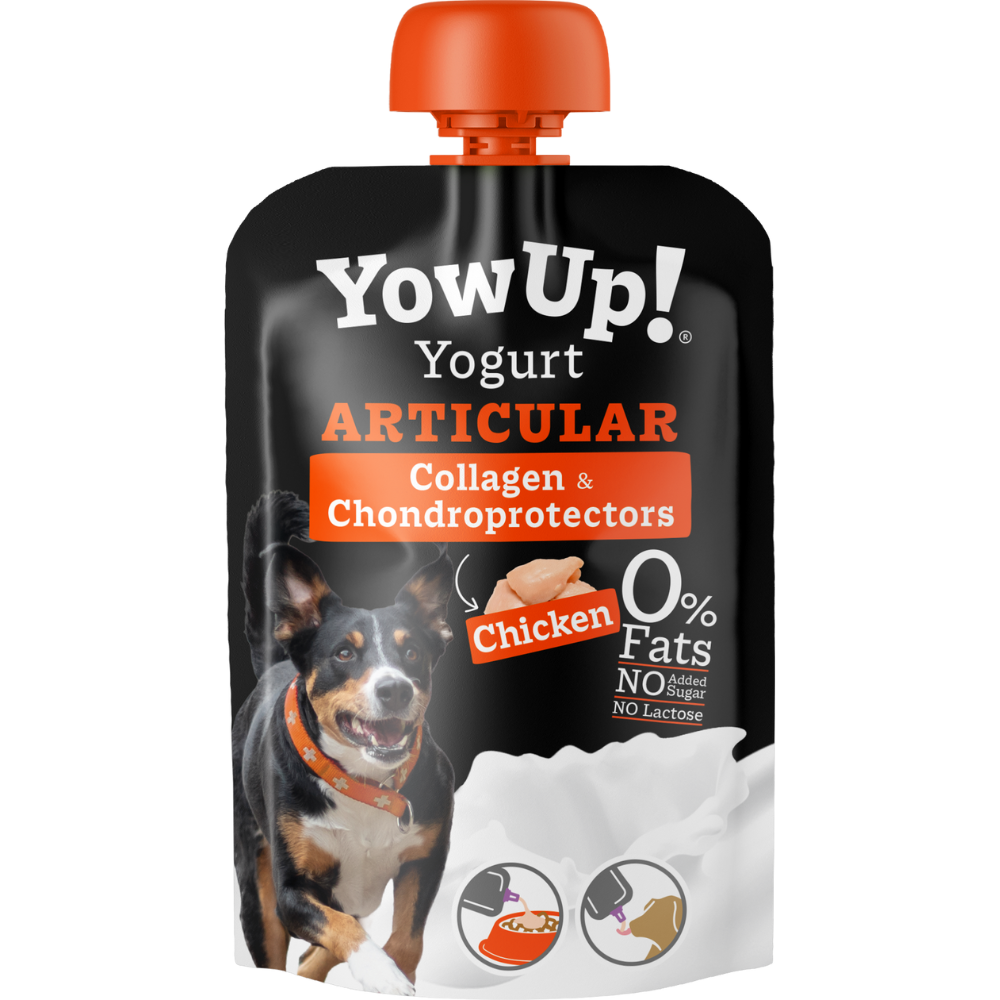 Yogurt yowup senza lattosio per cane con problemi di articolazioni