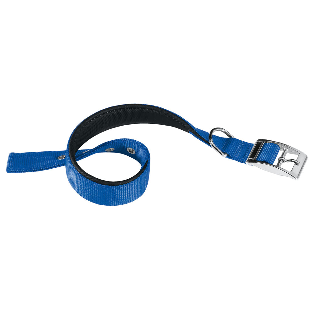 Collare per Cane in Nylon, Colore Blu della Ferplast