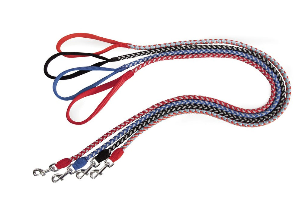 Collari e Guinzagli per cane e gatto e coniglio nano