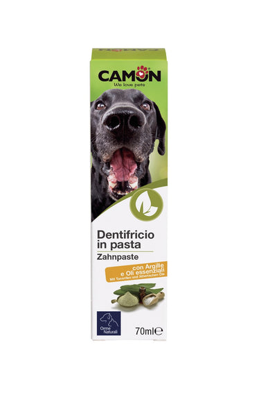Dentifricio in pasta 70 ml camon