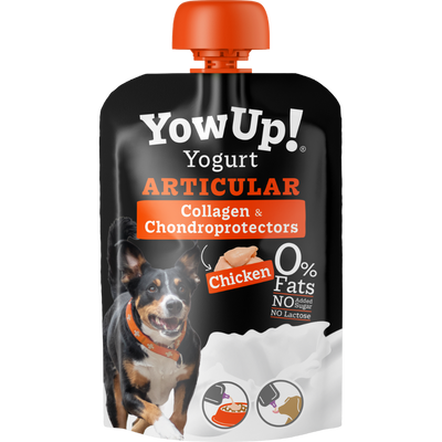 Yogurt yowup senza lattosio per cane con problemi di articolazioni