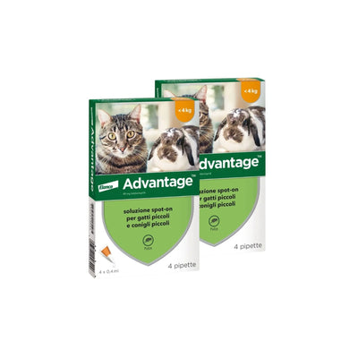 Advantage per gatti e conigli