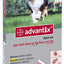 Advantix Spot-On per cani oltre 10 kg fino a 25 kg, Antiparassitario che Protegge dai Parassiti, Protegge dal Rischio di Leishmaniosi, Agisce contro le Larve di Pulci in Casa, contro Zanzare, Pidocchi 4 pipette