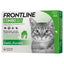 Frontline Combo Spot On per Gatto, Gatti e Furetti, elimina Pulci, Zecche e Larve, blocca lo sviluppo delle uova di larve delle Pulci. Miglior Prezzo