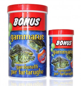 Mangime semplice per tartarughe d’acqua dolce.