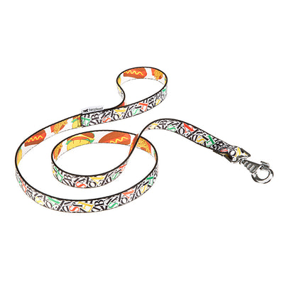 Guinzaglio in Nylon per Cane in Varie Misure e Fantasie. Dal design semplice e chic. Ferplast