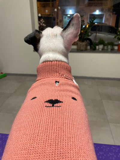 Maglioncino Yoghi stilizzato di color rosa TG 21